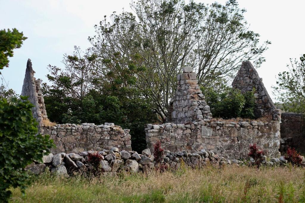 ゴールウェイCurlews Rest - Gateway To The Aran Islandsアパートメント エクステリア 写真